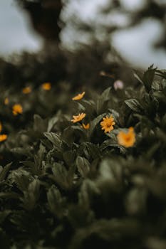 The Brutal Truth About Getting "The Ick" and How to Move On - dating advice illustration